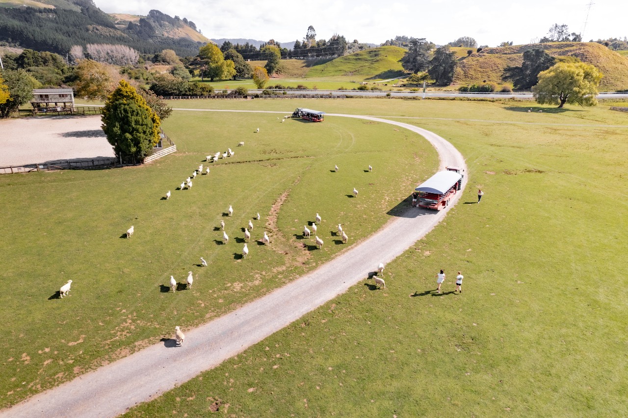 AgrodomeKiwixRoady3 low res