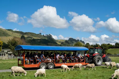 Agrodome - A History